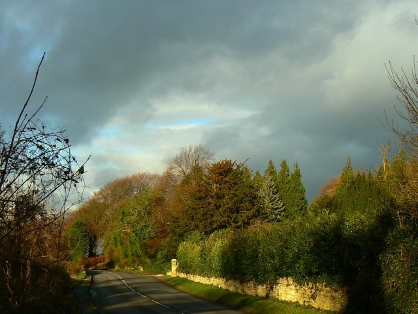 An image depicting the trail The Leckhampton Loop and its surrounding area.