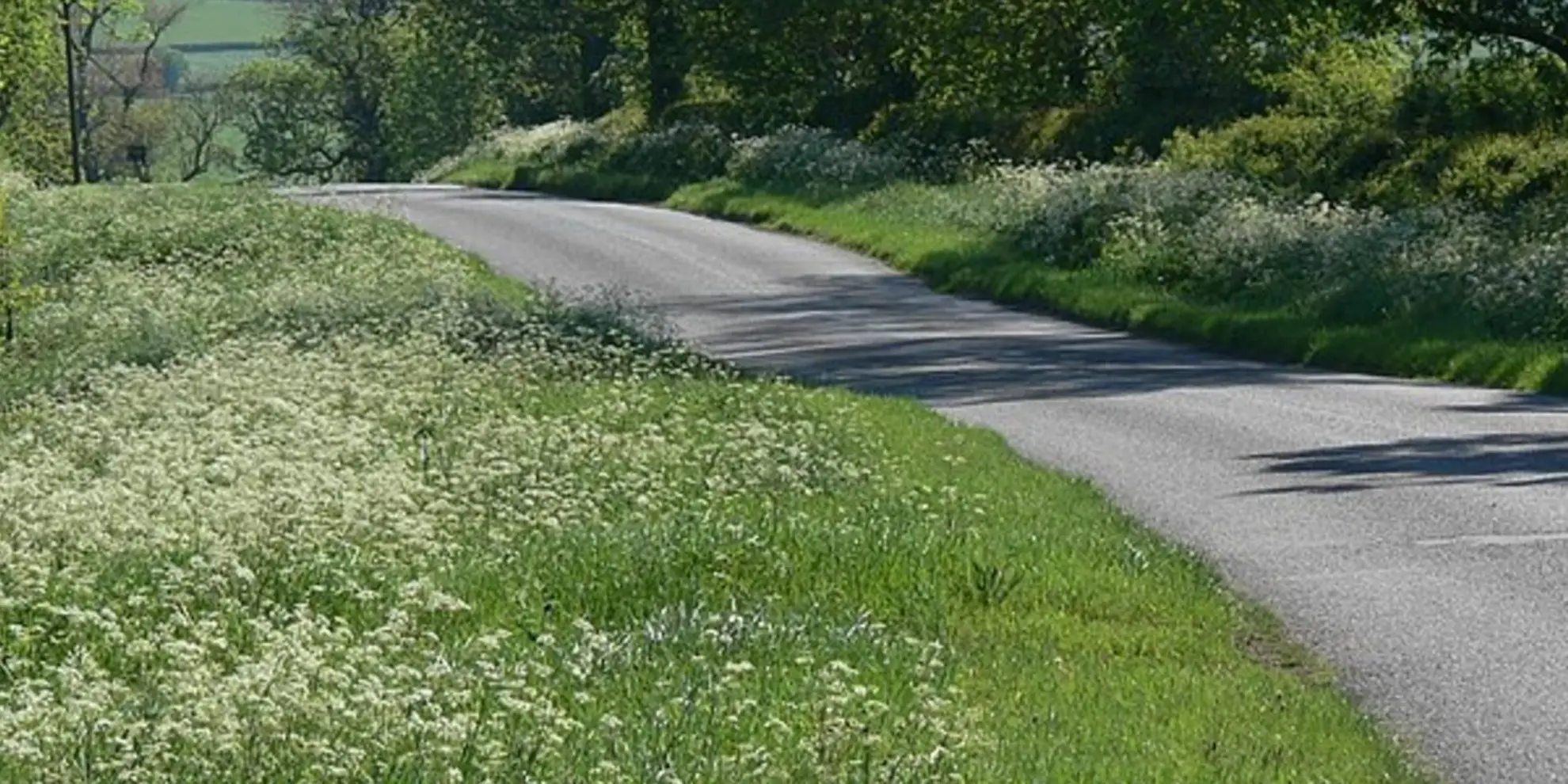 An image depicting the trail Ashby Folville - Thorpe Satchville - Twyford and Midshires Way and its surrounding area.