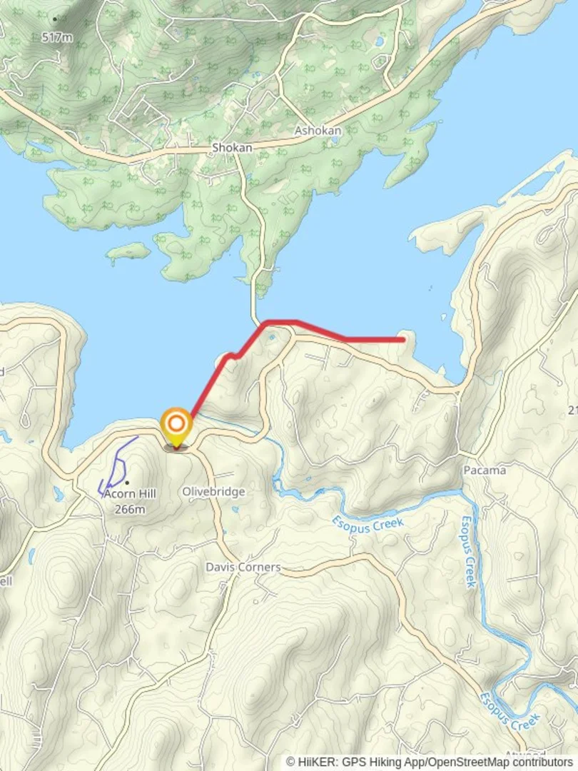 An image depicting the trail Olivebridge Dam and Ashokan Reservoir and its surrounding area.
