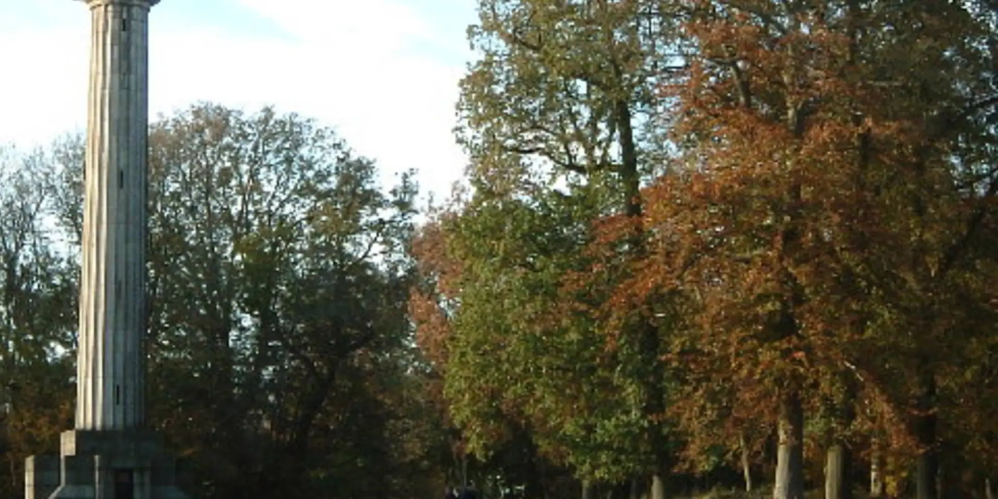 An image depicting the trail Ashridge Ancient Trees Walk and its surrounding area.