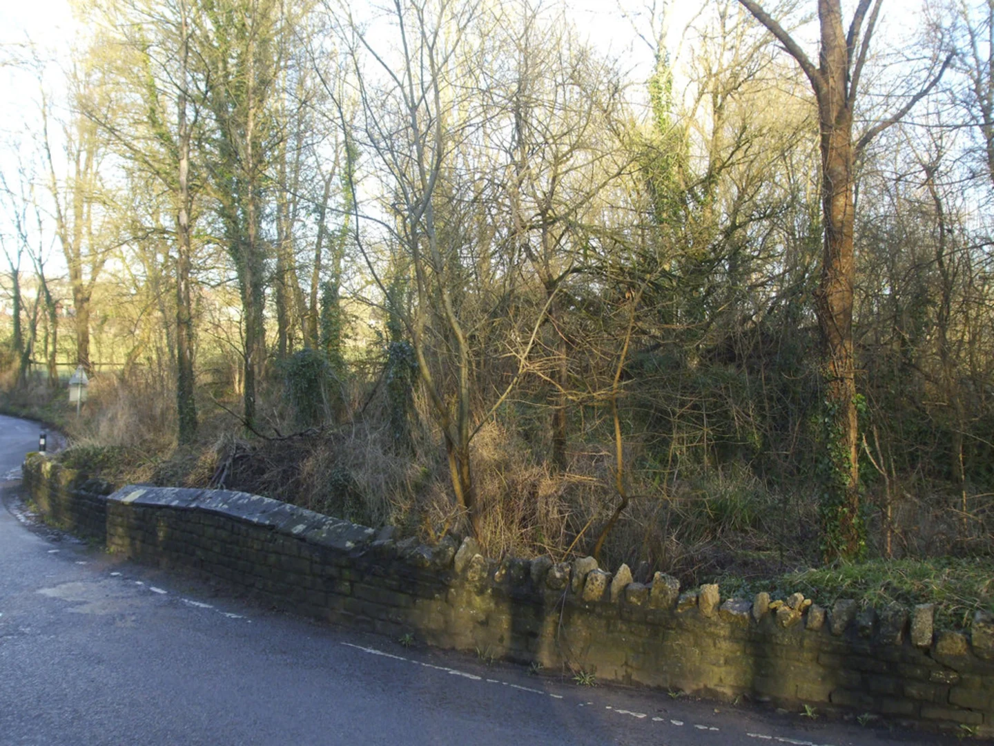 An image depicting the trail Abson, Siston and Webbs Heath Loop and its surrounding area.