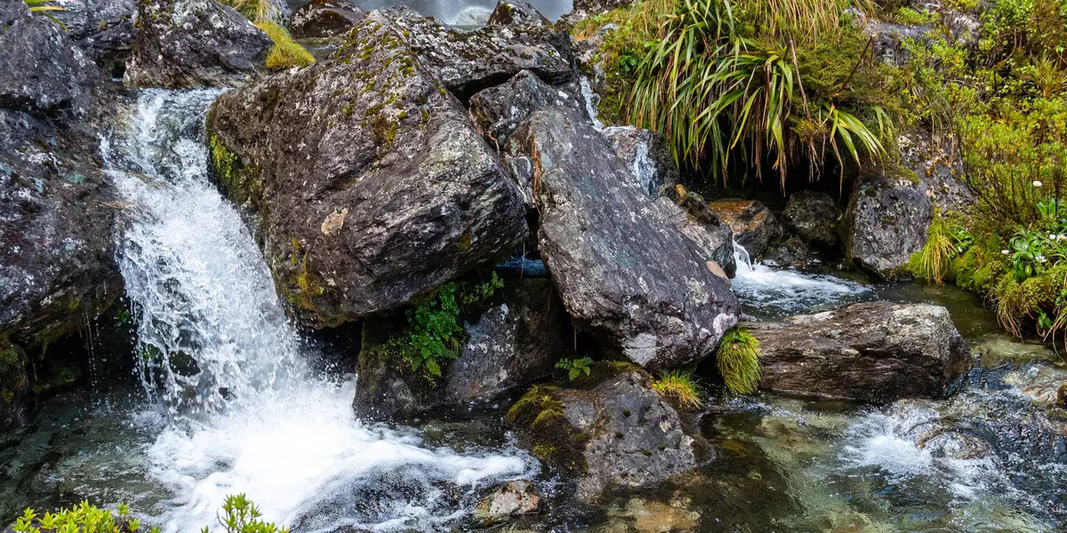 Routeburn Track - Earland Falls Track