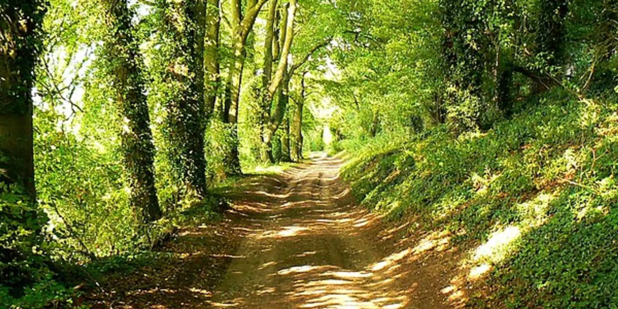 An image depicting the trail Chaddleworth from Great Shefford and its surrounding area.