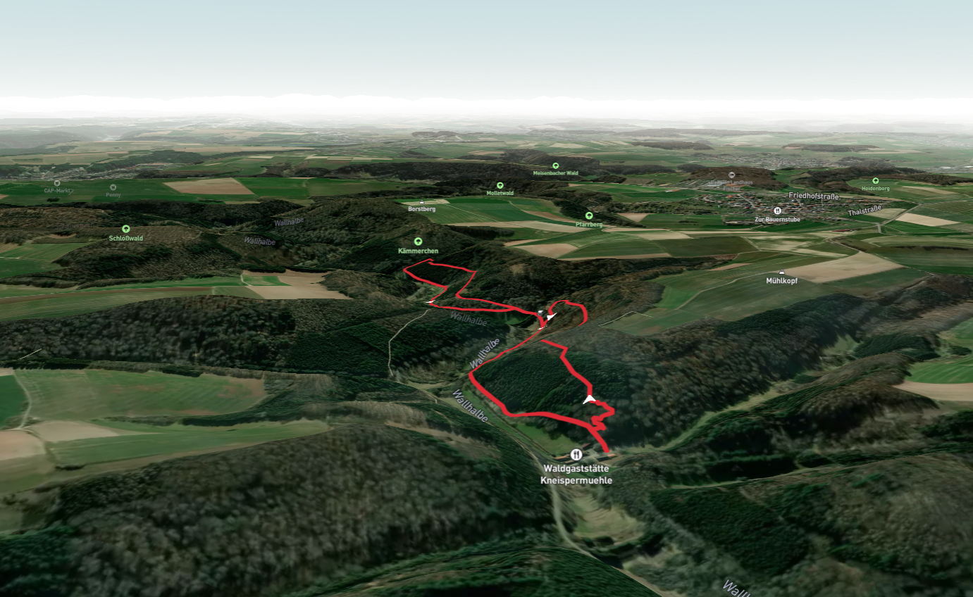 Maßweilerer Keltenpfad Loop