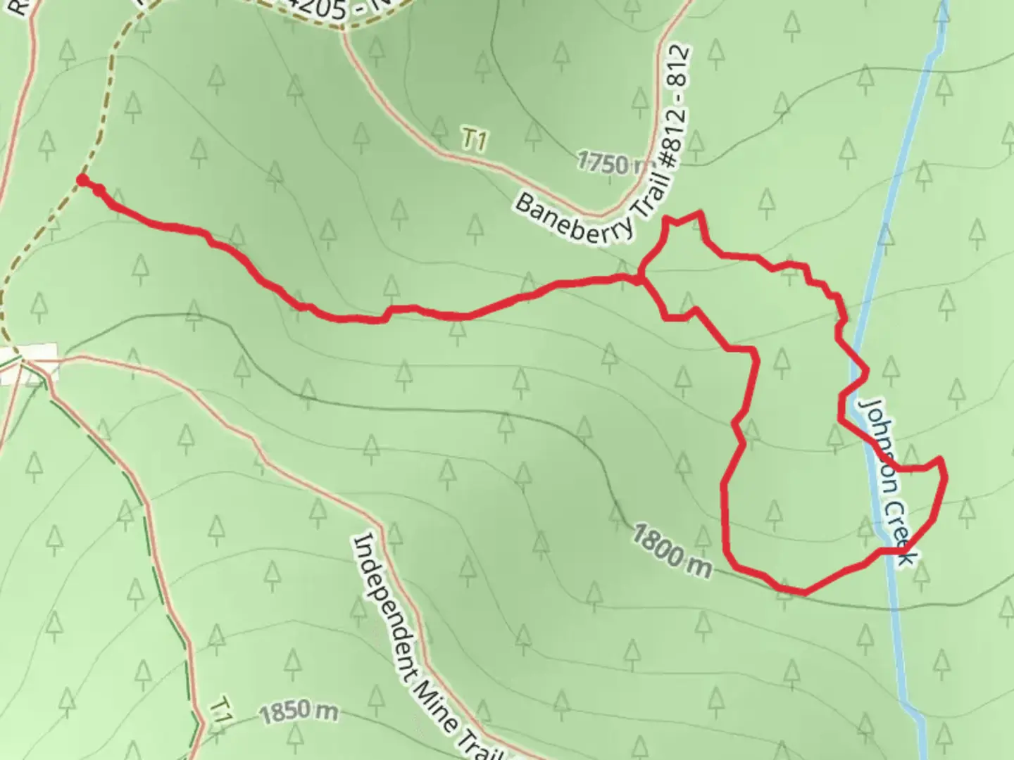 An image depicting the trail Baneberry Trail and its surrounding area.