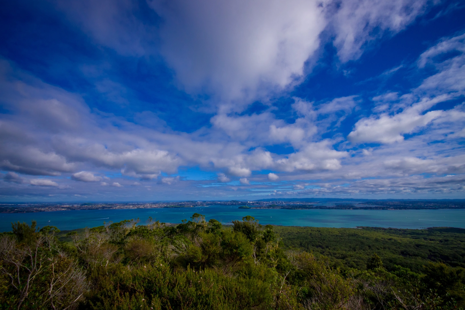 An image depicting the trail Rangitoto Summit Track and its surrounding area.