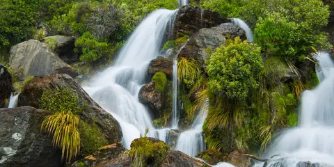 An image depicting the trail Lower Wye Creek Track and its surrounding area.