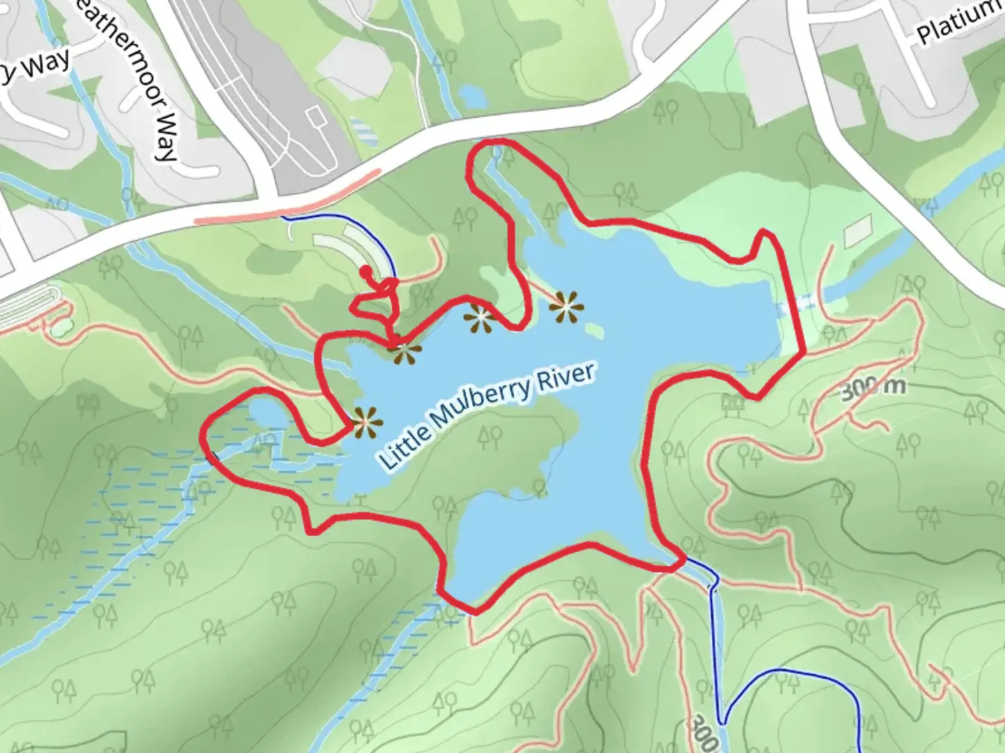An image depicting the trail Miller Lake Trail from Hog Mountain Road and its surrounding area.