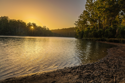 An image depicting the trail Big Brook Dam and its surrounding area.