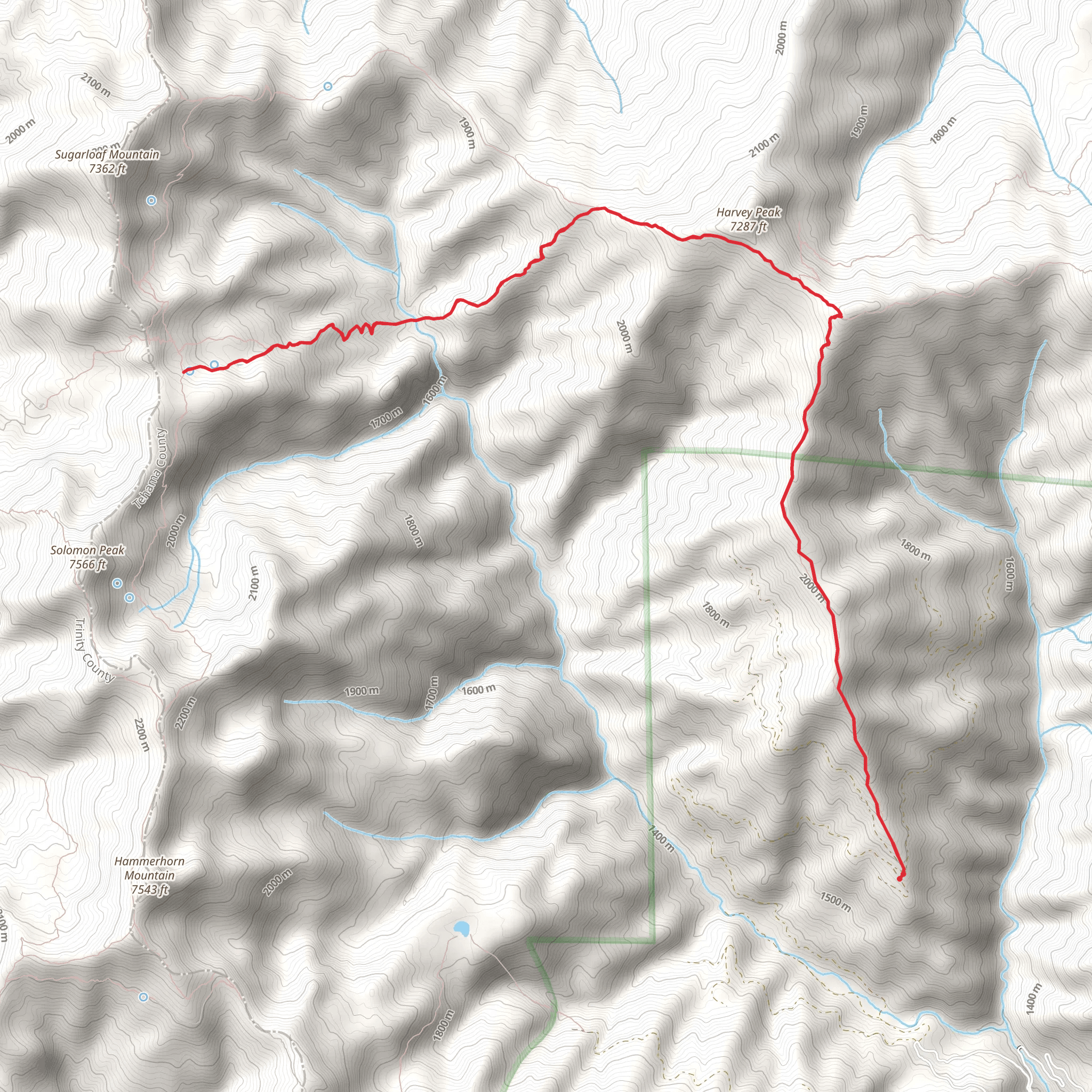Kingsley Lake via Thomas Pocket Trail mobile static map