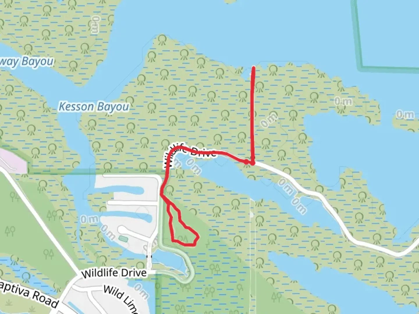 An image depicting the trail Wulfert Keys and Shell Mound Trail and its surrounding area.