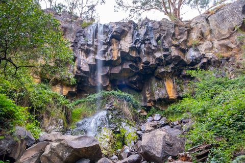 Lower Sailors Falls Loop Trail