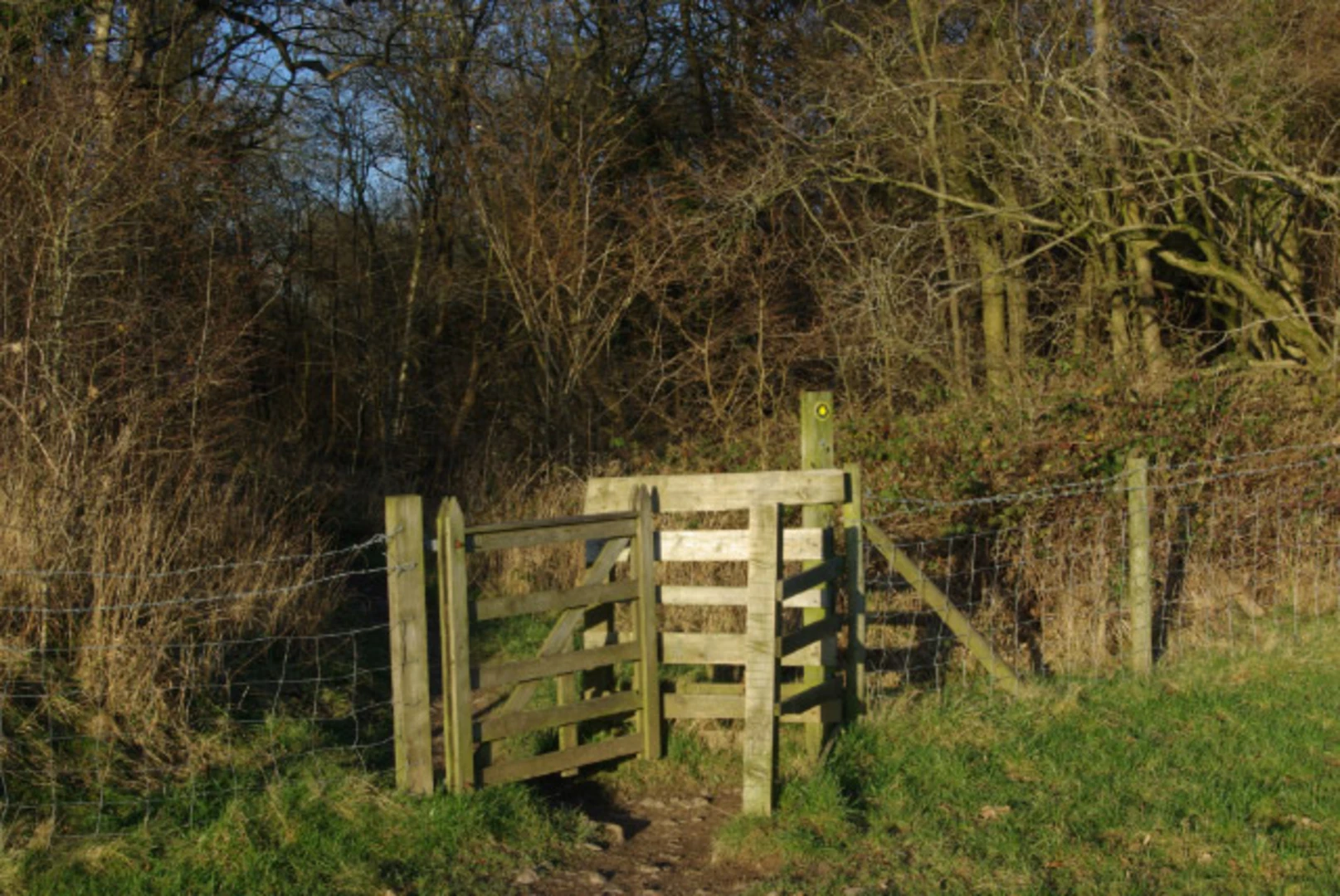 An image depicting the trail Kirkby Lonsdale to Kendal Walk and its surrounding area.