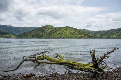Lower Bobs Bay Track
