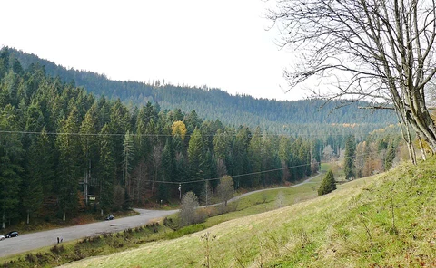 Waldklettergarten and Todtenwiesle Seeburg Loop