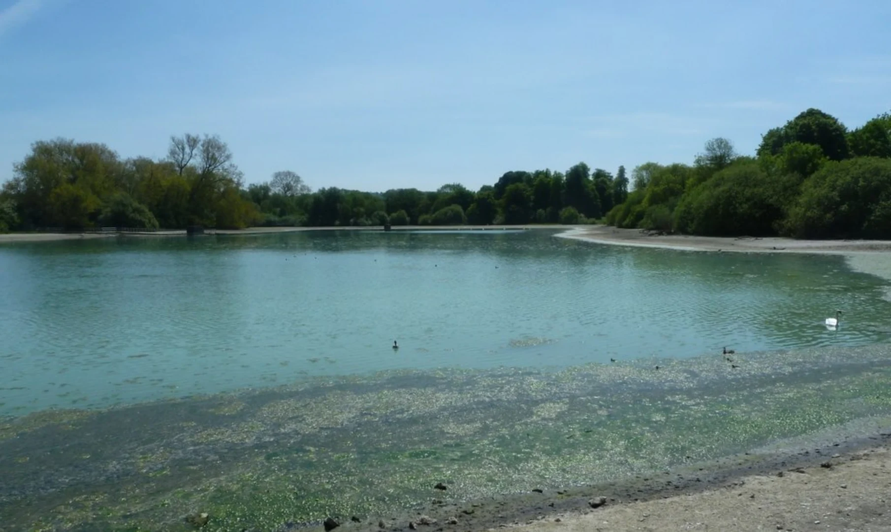 An image depicting the trail Wendover Canal Arm Walk and its surrounding area.