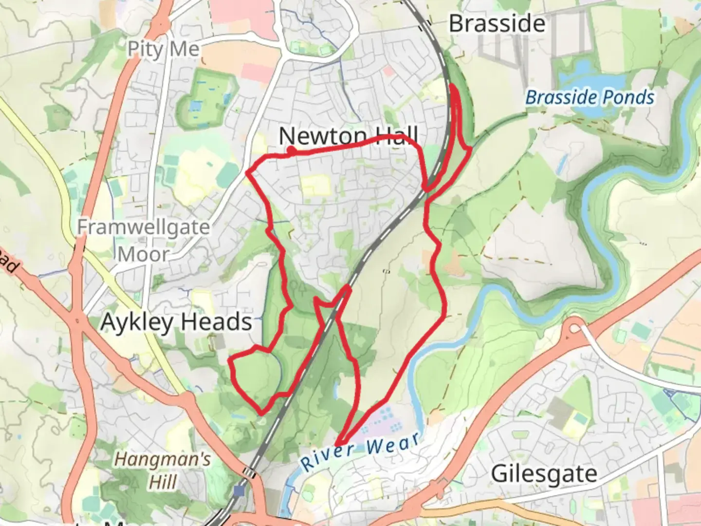 An image depicting the trail Low Newton Junction LNR, Hopper's Wood and Aykley Woods LNR and its surrounding area.