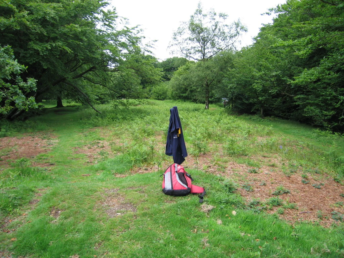 An image depicting the trail Broadwindsor Loop via Horn Hill and its surrounding area.