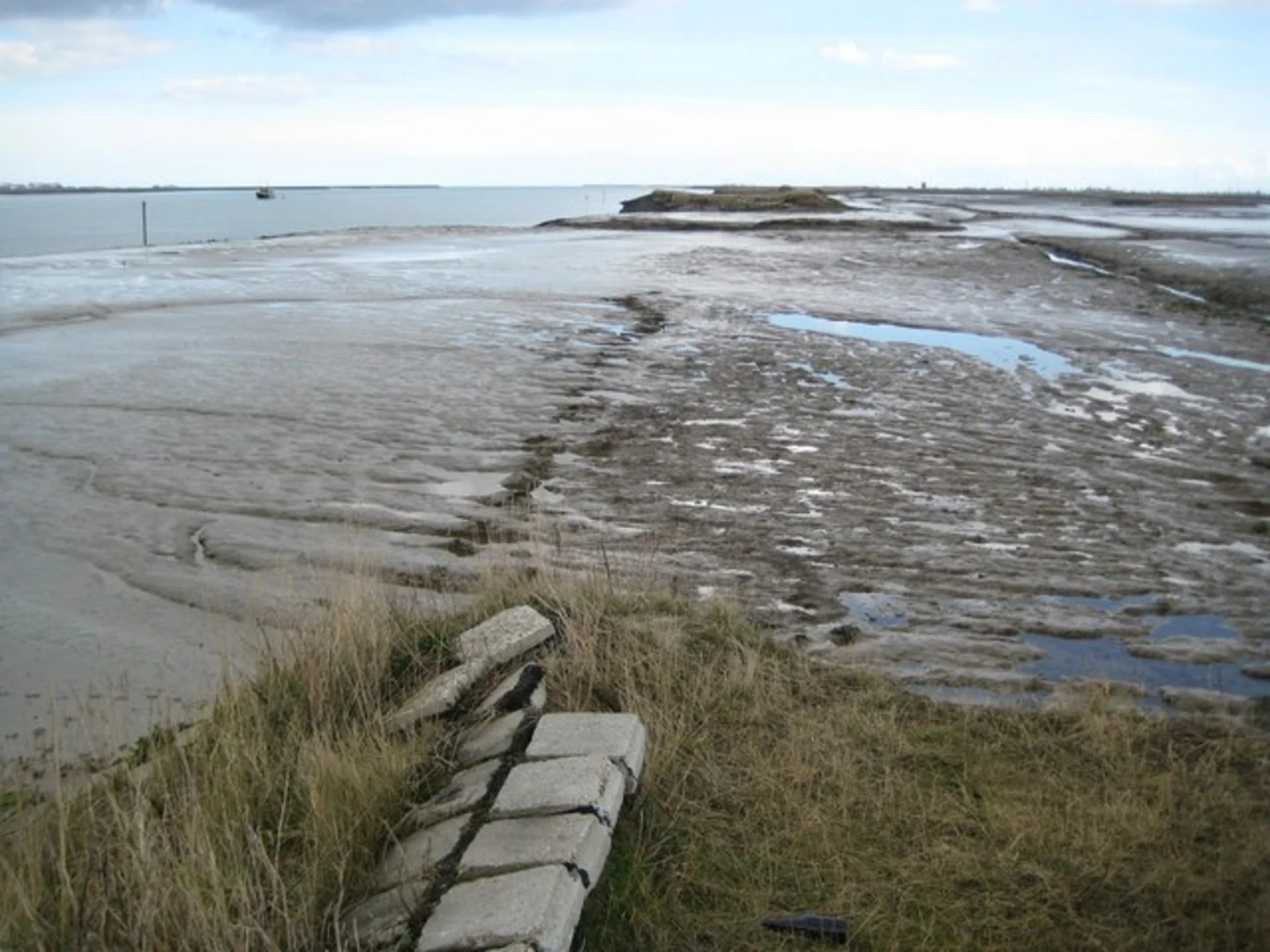 An image depicting the trail Wallasea Island Loop and its surrounding area.