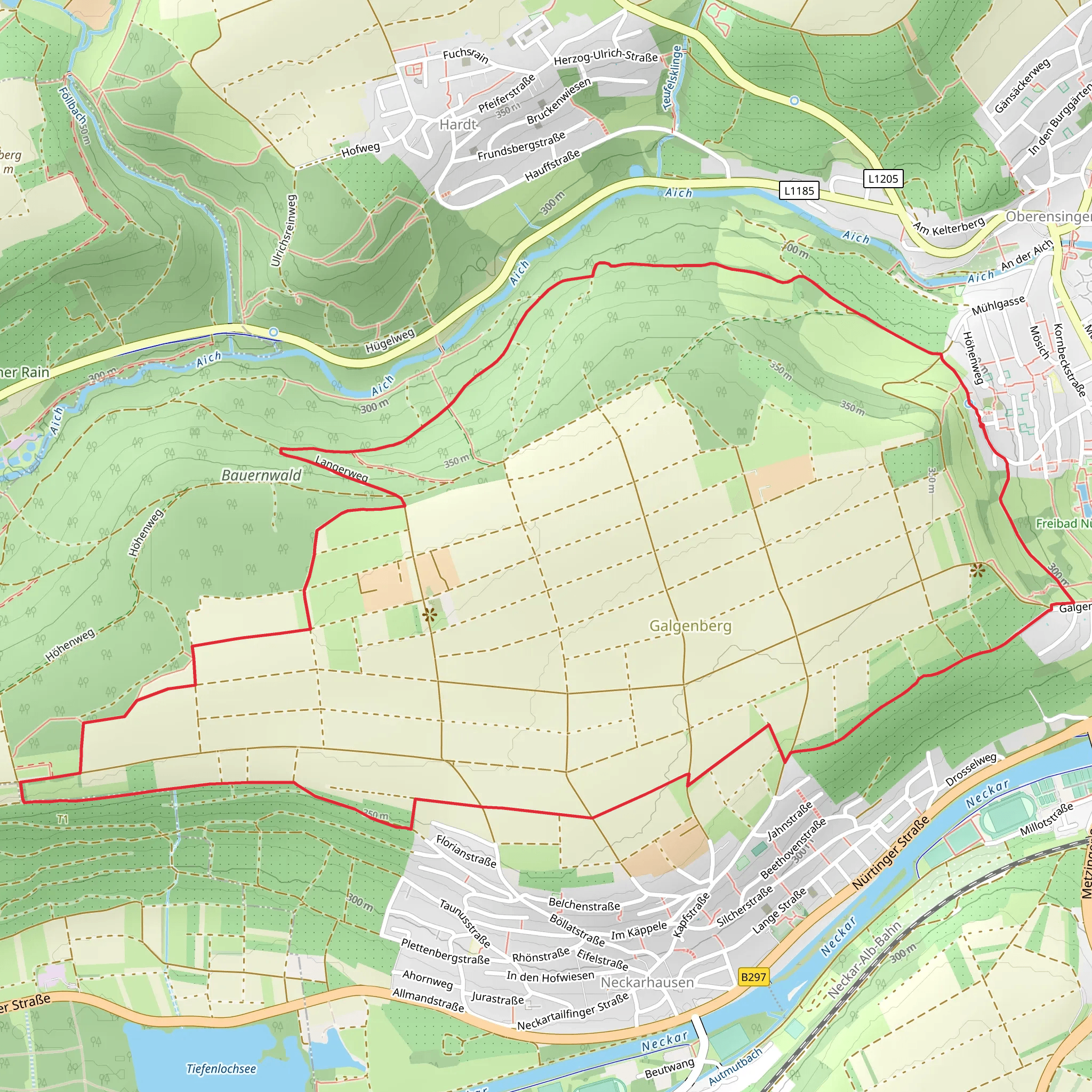 Bauernwald and Galgenberg Loop mobile static map