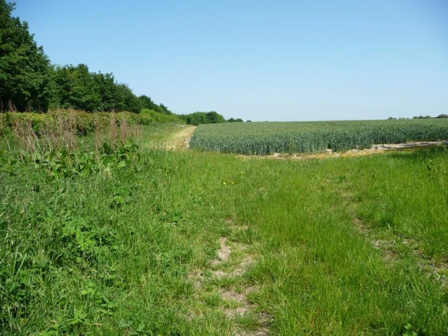An image depicting the trail Morestead, Owslebury and Lower Upham Walk and its surrounding area.