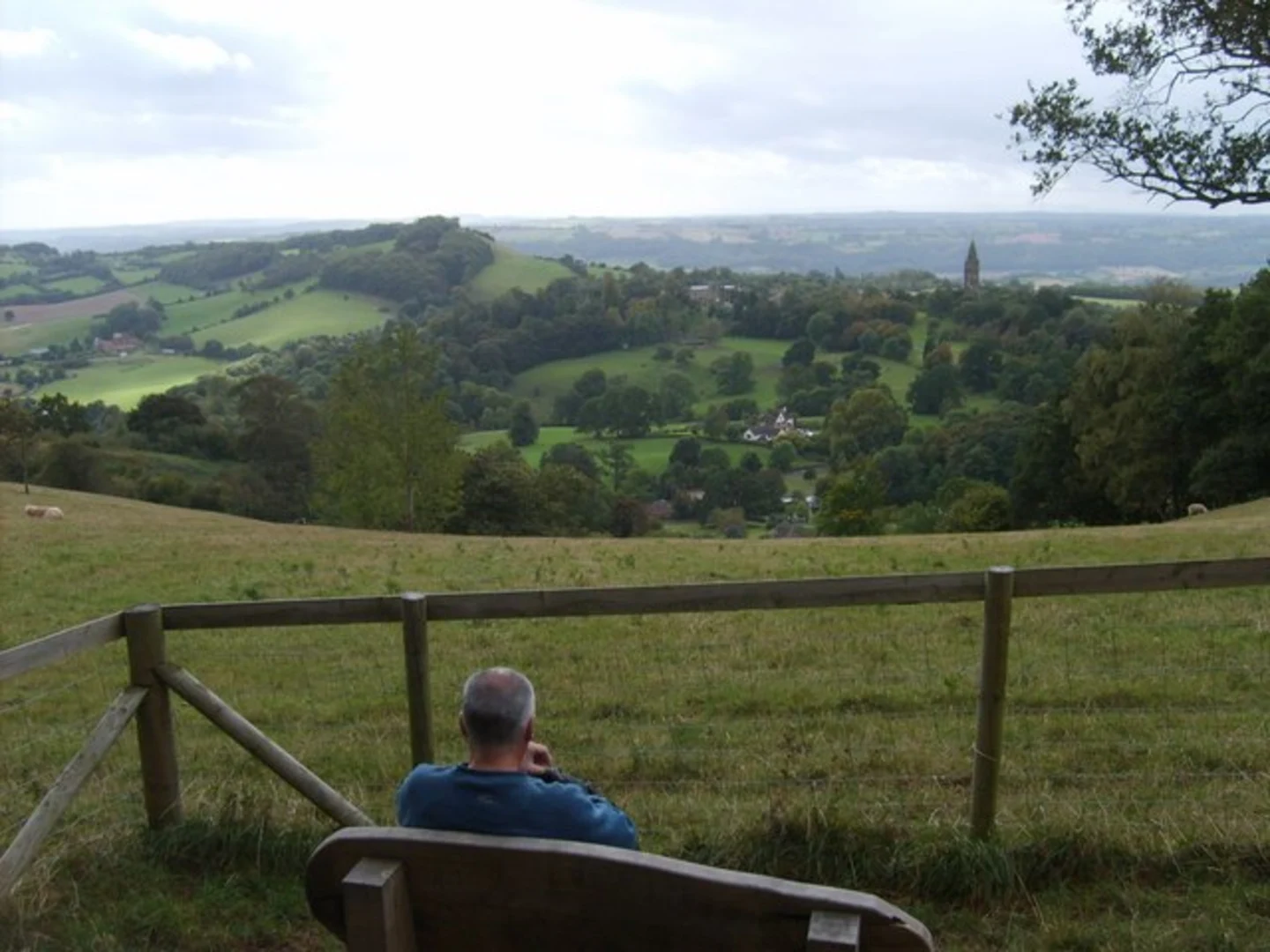 An image depicting the trail Abberley Hill and Shavers End via G Way and its surrounding area.