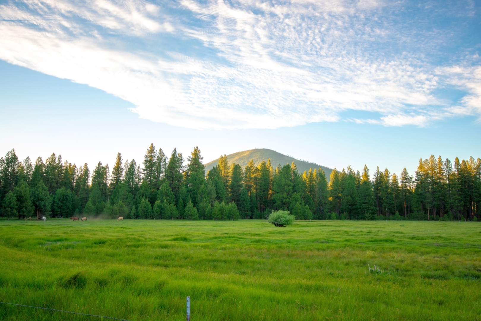 An image depicting the trail Upper Butte Loop Trail and its surrounding area.