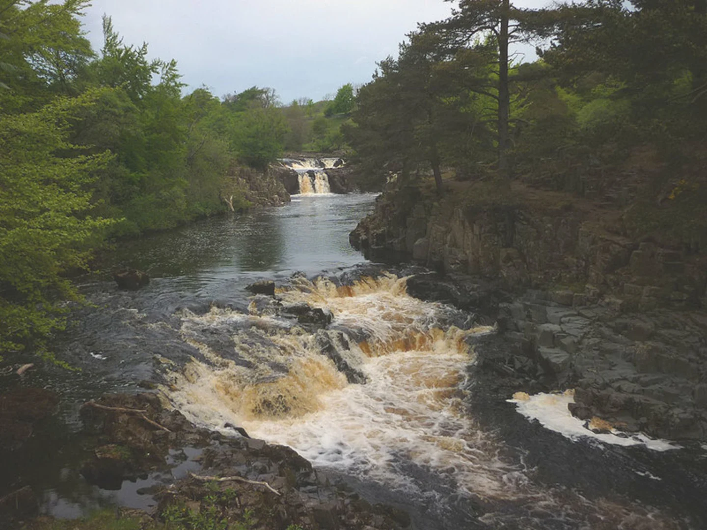 An image depicting the trail Roman Period Settlement, High and Low Force Loop - Bowless and its surrounding area.