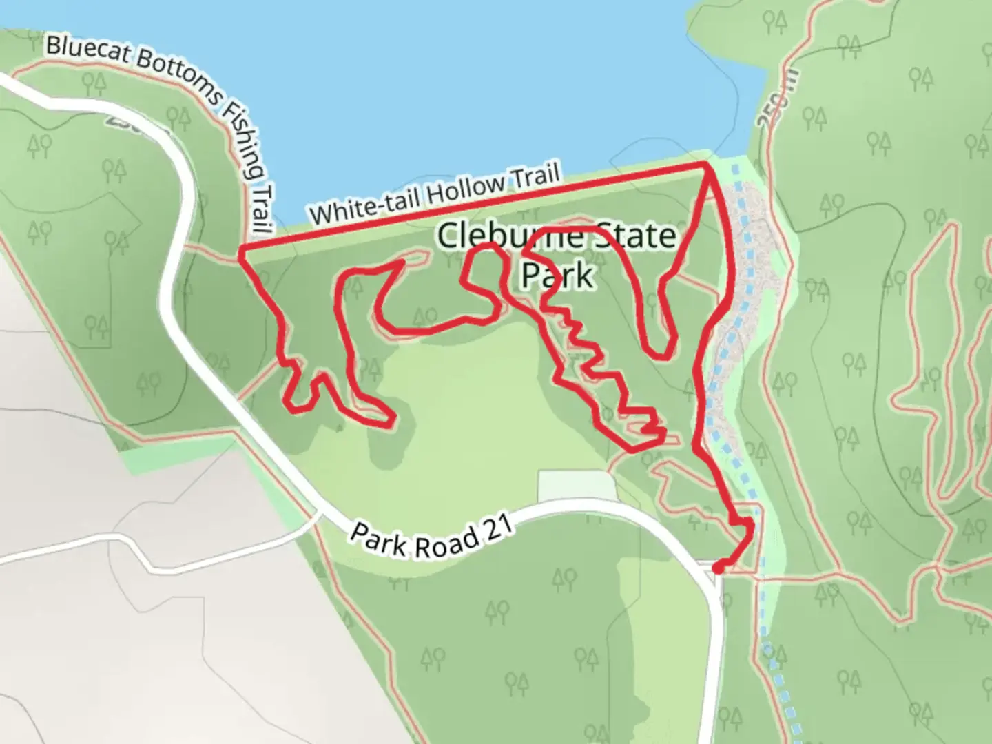 An image depicting the trail Cedar Lake South Shore Loop and its surrounding area.