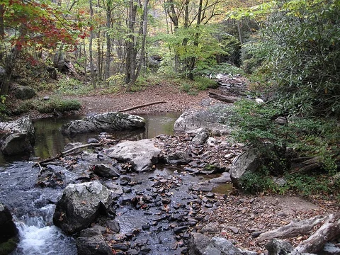 An image depicting the trail Hightree Rock Trail and its surrounding area.