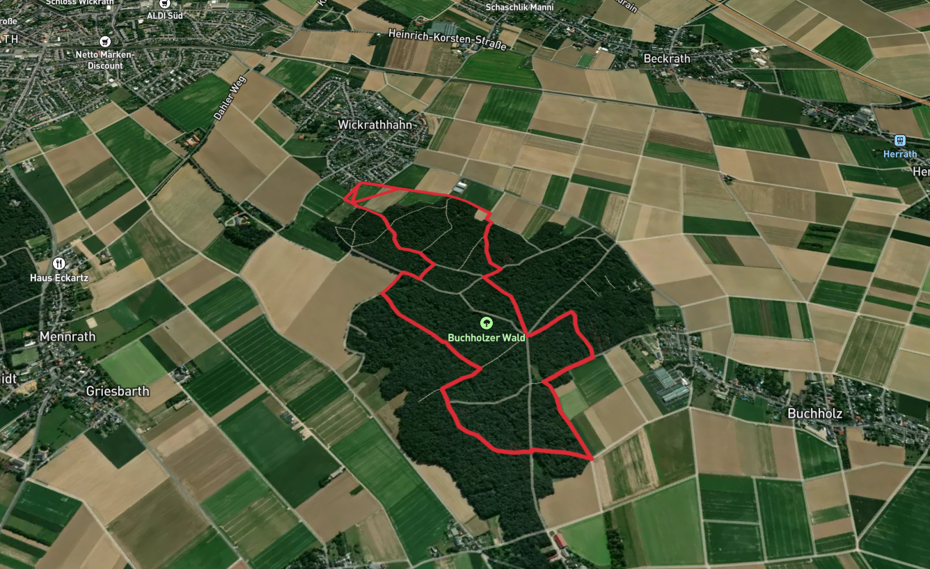 Buchholzer Wald Circle