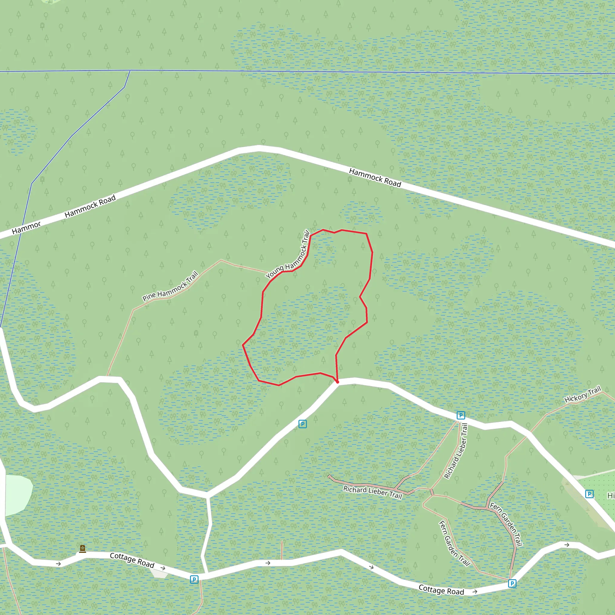 Young Hammock Loop Trail mobile static map