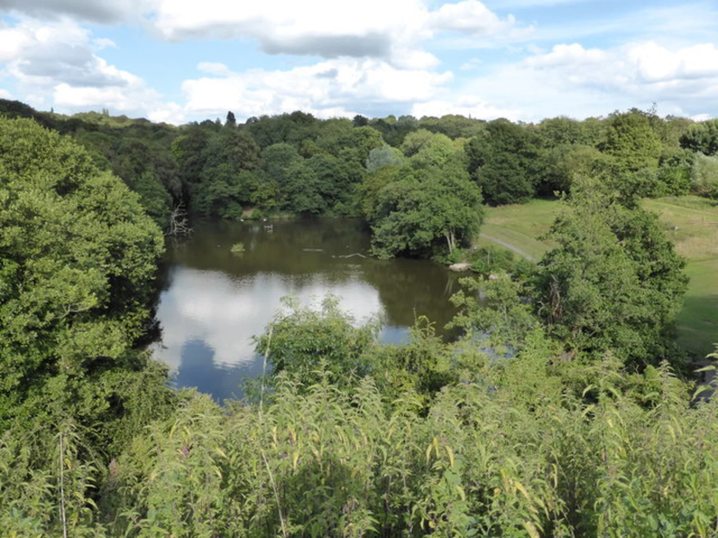 An image depicting the trail Leasowes Park Loop and its surrounding area.