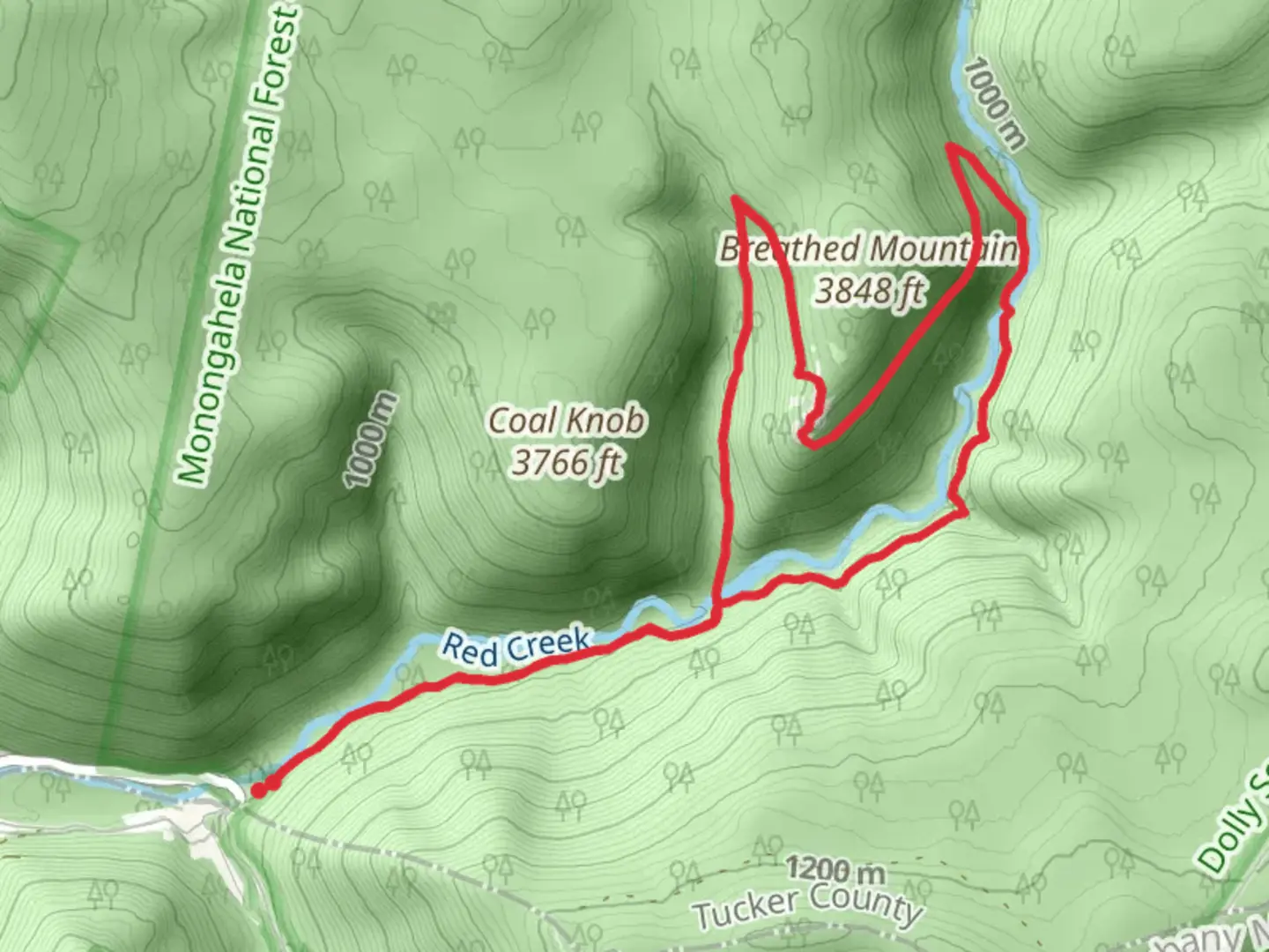 An image depicting the trail Red Creek Trail, Rocky Point Trail and Big Stonecoal Loop Trail and its surrounding area.