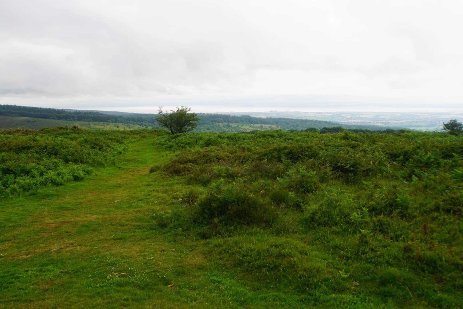An image depicting the trail Lydeard Hill and its surrounding area.