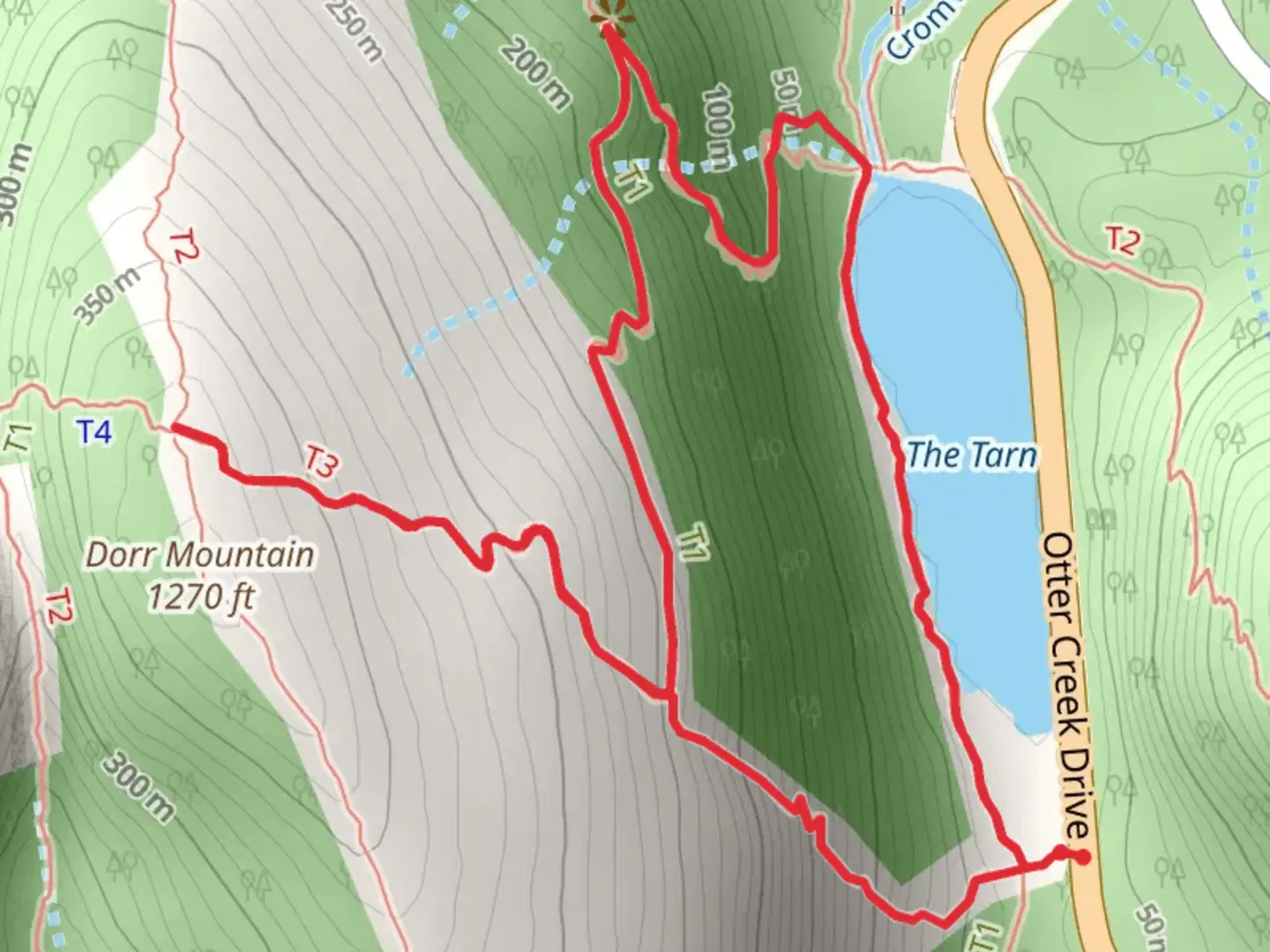 An image depicting the trail Schiff Path and The Tarn Lake Loop Trail and its surrounding area.