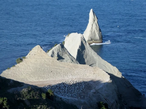 Cape Kidnappers Track