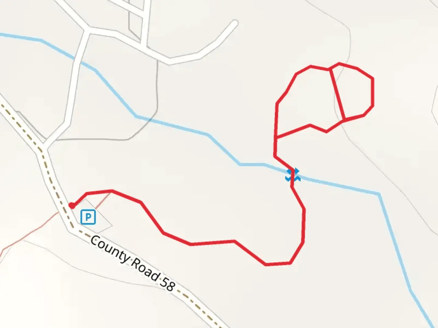 An image depicting the trail Trees of the Forest Interpretive Trail and its surrounding area.