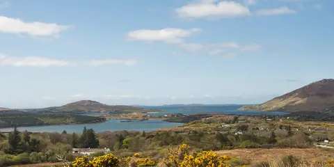 An image depicting the trail Tully Trail and its surrounding area.