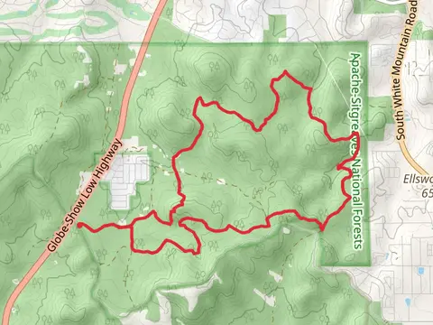 Buena Vista Loop Trail