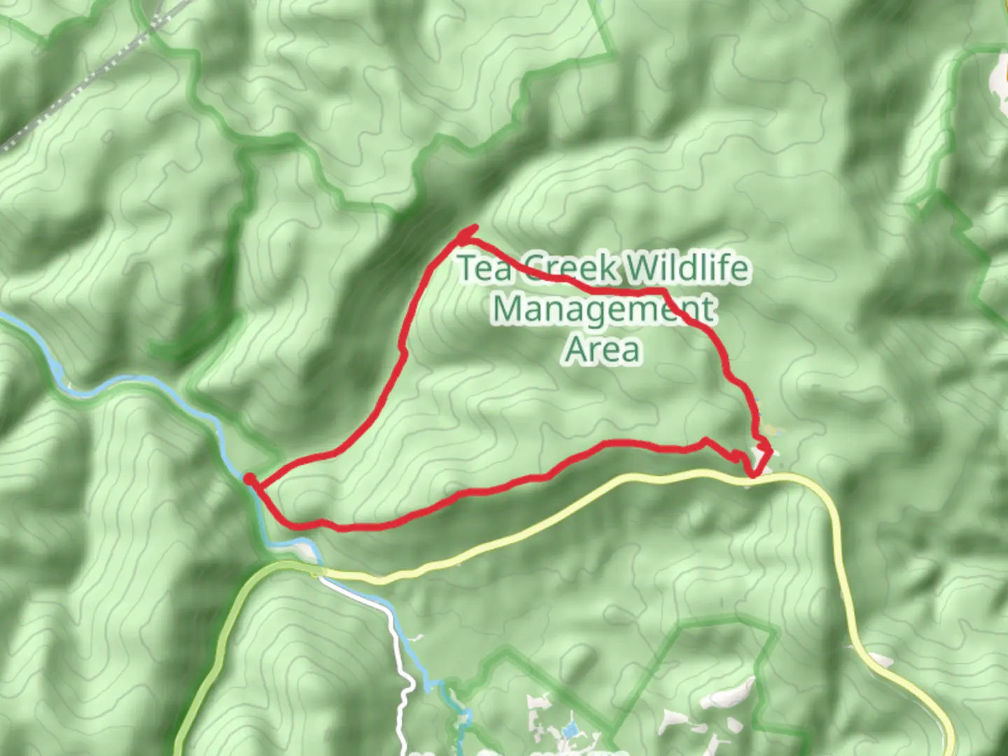 An image depicting the trail Tea Creek Mountain Loop Trail and its surrounding area.