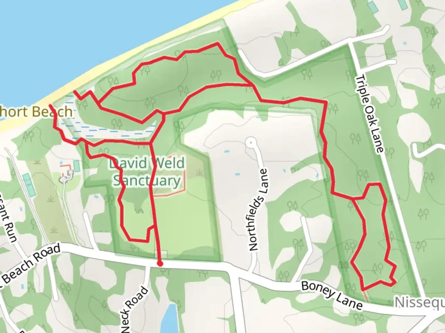 An image depicting the trail Short Beach Road North Loop Trail and its surrounding area.