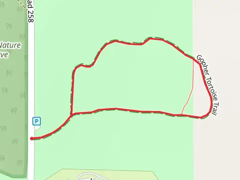 Gopher Tortoise Loop Trail