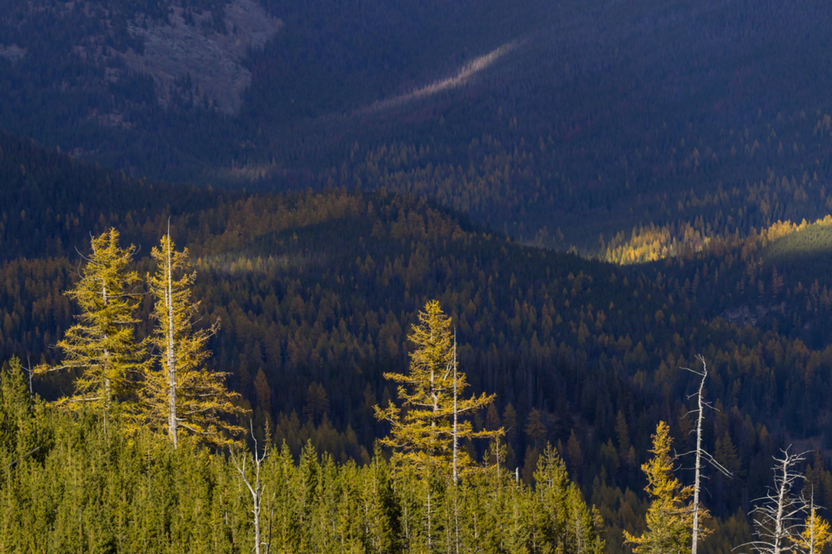 An image depicting the trail Sherman Pass Trail and its surrounding area.