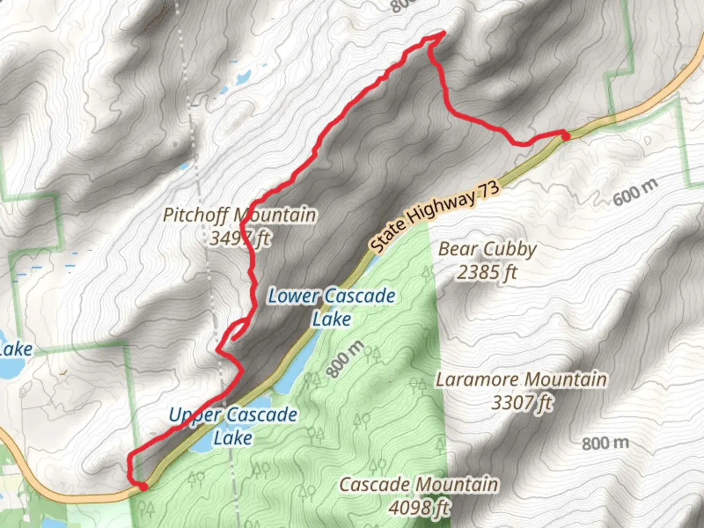 An image depicting the trail Pitchoff Mountain from State Highway and its surrounding area.