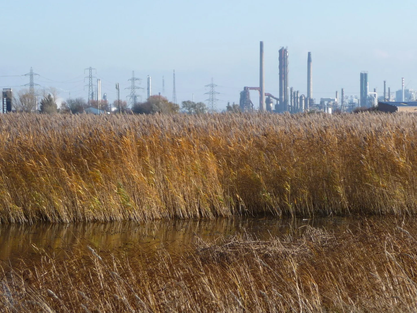 An image depicting the trail Saltholme and RSPB Saltholme Main Pool Walk and its surrounding area.