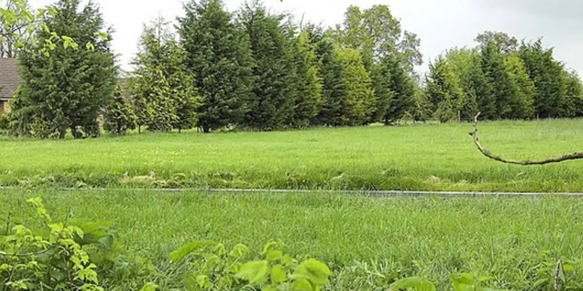 Nazeing Circular from Epping Green