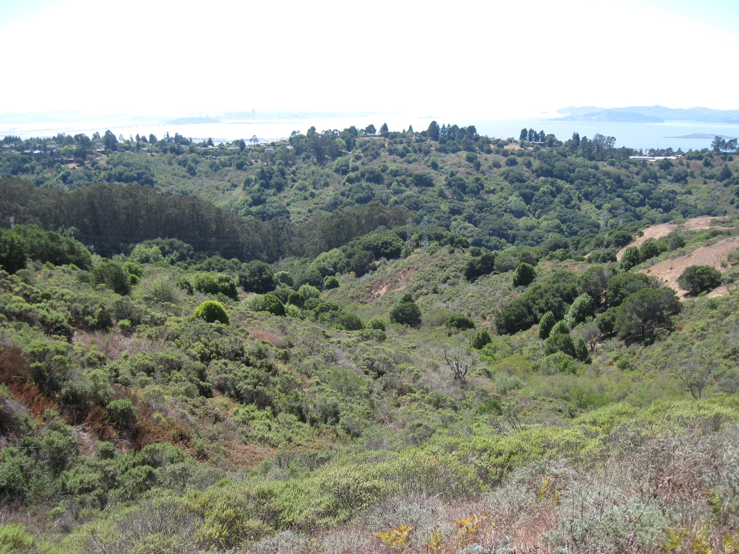 An image depicting the trail Wildcat Peak via Wildcat Creek Trail and its surrounding area.