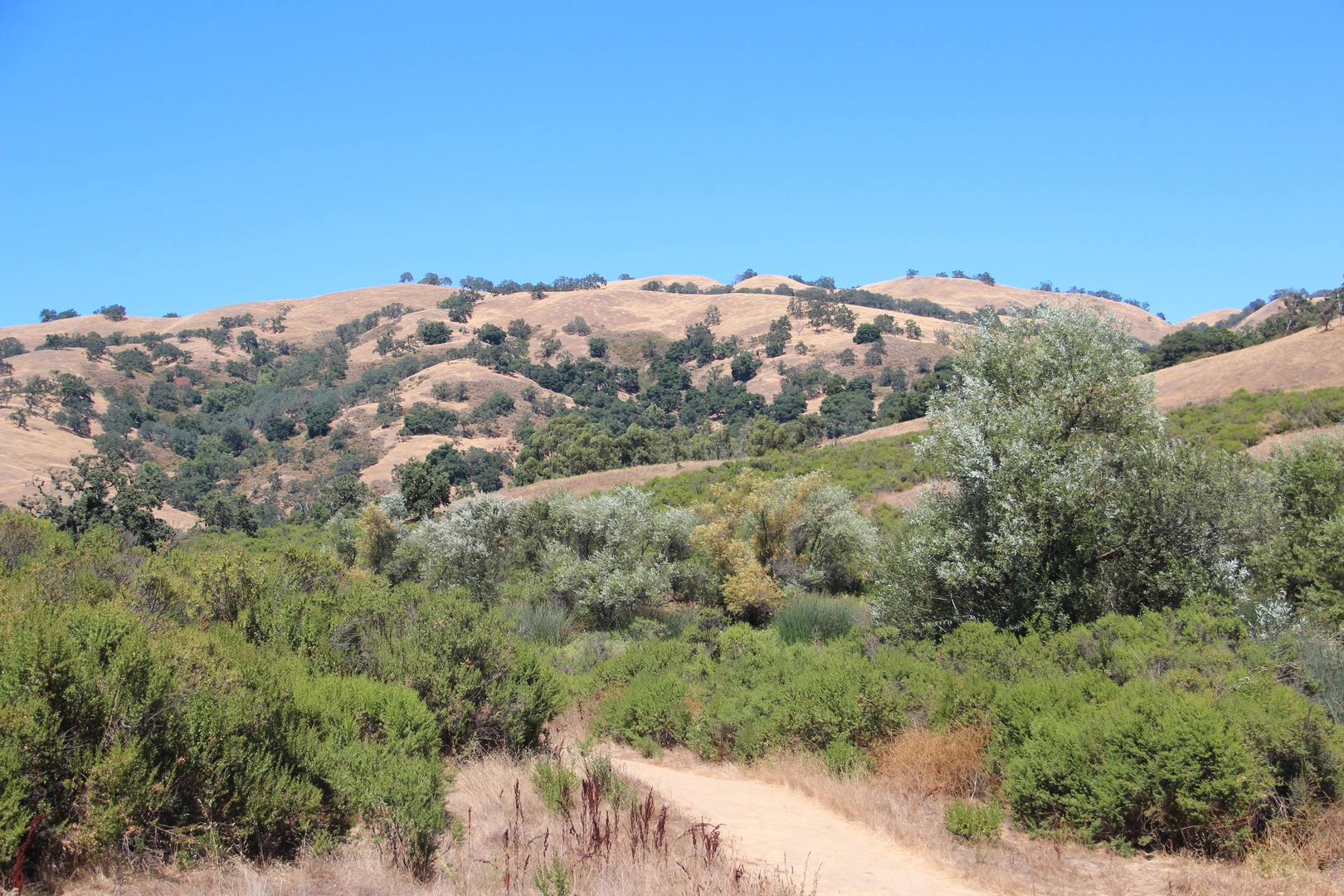 An image depicting the trail Antler Point - Canada de Pala - Heron Loop Trail and its surrounding area.