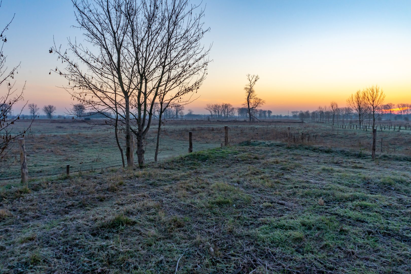 An image depicting the trail De nieuweburgwal and Het Paradijs Loop and its surrounding area.